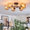 Ripoll Taklampa, kullampa Amber, 6-ljuskällor