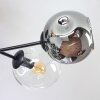 Ripoll Taklampa, kullampa Amber, Klart, Rökfärger, 6-ljuskällor