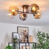 Ripoll Taklampa, kullampa Amber, Klart, Rökfärger, 6-ljuskällor