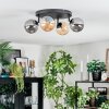 Chehalis Taklampa, kullampa Amber, Rökfärger, 4-ljuskällor