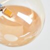 Chehalis Taklampa, kullampa Amber, 4-ljuskällor