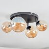 Chehalis Taklampa, kullampa Amber, 4-ljuskällor