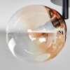 Chehalis Taklampa, kullampa Amber, Klart, Rökfärger, 4-ljuskällor