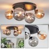 Chehalis Taklampa, kullampa Amber, Rökfärger, 4-ljuskällor