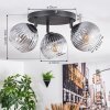 Koyoto Taklampa, kullampa Klart, Rökfärger, 3-ljuskällor