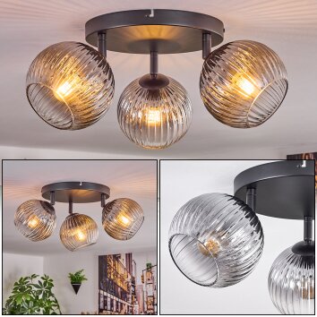 Koyoto Taklampa, kullampa Klart, Rökfärger, 3-ljuskällor