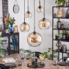 Koyoto Pendellampa, kullampa, Pendelbelysning Amber, Klart, 5-ljuskällor