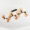Koyoto Taklampa, kullampa Guld, Svart, 10-ljuskällor