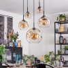 Ripoll Pendellampa, kullampa, Pendelbelysning Amber, Klart, 5-ljuskällor