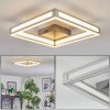 Danor Taklampa LED Nickel matt, 1-ljuskällor