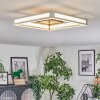 Danor Taklampa LED Nickel matt, 1-ljuskällor