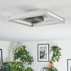 Danor Taklampa LED Nickel matt, 1-ljuskällor