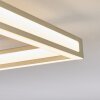 Danor Taklampa LED Nickel matt, 1-ljuskällor