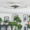 Danor Taklampa LED Nickel matt, 1-ljuskällor