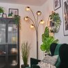 Koyoto kullampa, Golvlampa Amber, Klart, Rökfärger, 5-ljuskällor