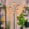Koyoto kullampa, Golvlampa Amber, Klart, Rökfärger, 5-ljuskällor