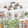 Koyoto Taklampa, kullampa Guld, Svart, 10-ljuskällor
