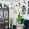 Koyoto kullampa, Golvlampa Amber, Klart, 5-ljuskällor