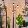 Koyoto kullampa, Golvlampa Amber, Klart, 5-ljuskällor
