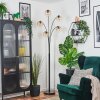 Koyoto kullampa, Golvlampa Amber, Klart, 5-ljuskällor