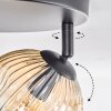 Ripoll Taklampa, kullampa Amber, Klart, Rökfärger, 3-ljuskällor