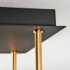 Koyoto Taklampa, kullampa Guld, Svart, 5-ljuskällor