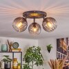 Koyoto Taklampa, kullampa Klart, Rökfärger, 3-ljuskällor