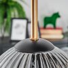 Ripoll Taklampa, kullampa Guld, Svart, 5-ljuskällor