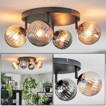 Chehalis Taklampa, kullampa Amber, Rökfärger, 4-ljuskällor