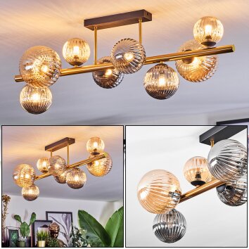 Chehalis Taklampa, kullampa Guld, Svart, 8-ljuskällor