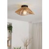 Eglo LAVISTER Taklampa, Vägglampa Svart, 1-ljuskällor