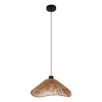 Eglo LAVISTER Pendellampa Svart, 1-ljuskällor