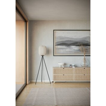 Eglo BELGRAVE Golvlampa Svart, 1-ljuskällor