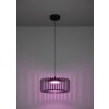 Eglo GINESTRONE-Z Pendellampa LED Svart, 1-ljuskällor, Färgväxlare