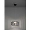 Eglo GINESTRONE-Z Pendellampa LED Svart, 1-ljuskällor, Färgväxlare