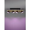 Eglo HORNWOOD-Z Taklampa, Vägglampa LED Brun, Svart, 4-ljuskällor, Färgväxlare