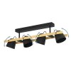Eglo HORNWOOD-Z Taklampa, Vägglampa LED Brun, Svart, 4-ljuskällor, Färgväxlare