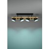 Eglo HORNWOOD-Z Taklampa, Vägglampa LED Brun, Svart, 4-ljuskällor, Färgväxlare