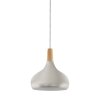 Eglo SABINAR Pendellampa Silver