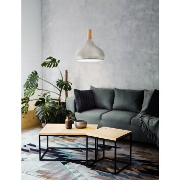 Eglo SABINAR Pendellampa Silver