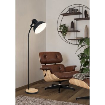 Eglo LUBENHAM Golvlampa Brun, Svart, 1-ljuskällor