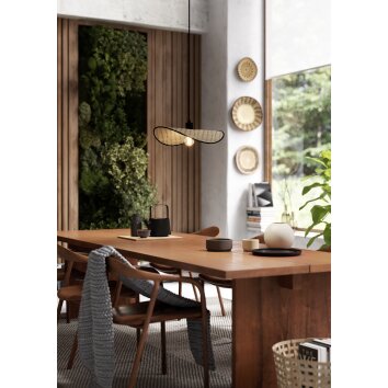 Eglo MARYWELL Pendellampa Svart, 1-ljuskällor