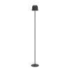 Eglo MANNERA-L Golvlampa LED Svart, 1-ljuskällor, Fjärrkontroll, Färgväxlare