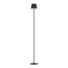 Eglo MANNERA-L Golvlampa LED Svart, 1-ljuskällor, Fjärrkontroll, Färgväxlare