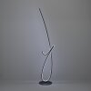Eglo CARDONCITO Golvlampa LED Svart, Färgväxlare