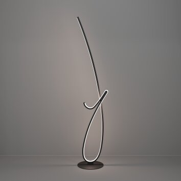 Eglo CARDONCITO Golvlampa LED Svart, Färgväxlare