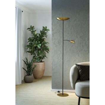 Eglo CONIVARINO Golvlampa LED Mässing, Svart