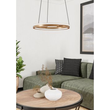 Eglo MEZZOMONTE Pendellampa LED Brons, Svart, Fjärrkontroll