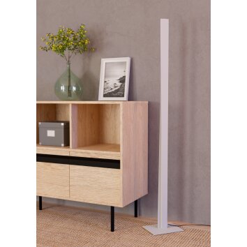 Eglo BOLOGNANO-Z Golvlampa LED Grått, Färgväxlare