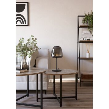 Eglo ALFERO-Z Bordslampa LED Svart, Färgväxlare